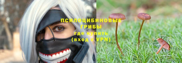 прущие грибы Каменка