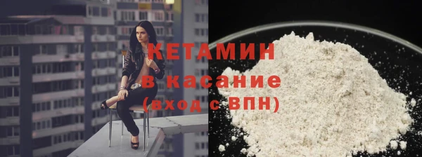 прущие грибы Каменка