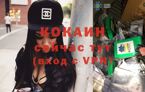 PSILOCYBIN Каменск-Шахтинский