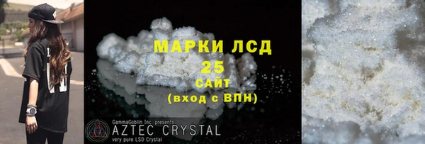 прущие грибы Каменка