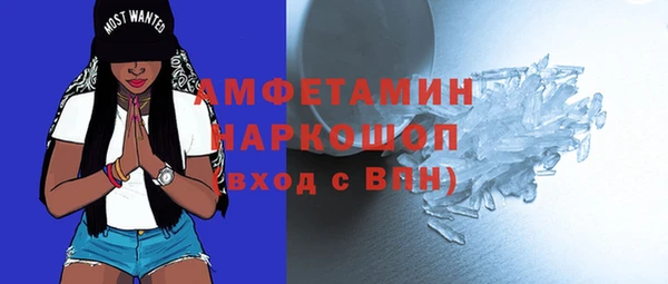 прущие грибы Каменка