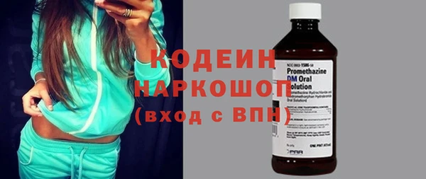 прущие грибы Каменка