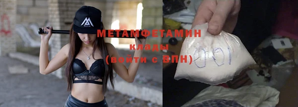 прущие грибы Каменка