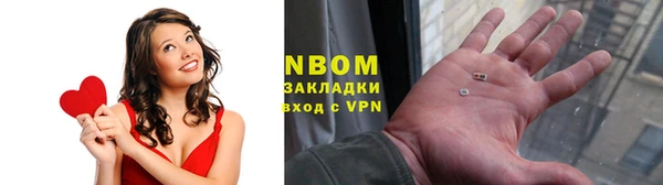 прущие грибы Каменка