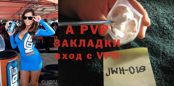 прущие грибы Каменка