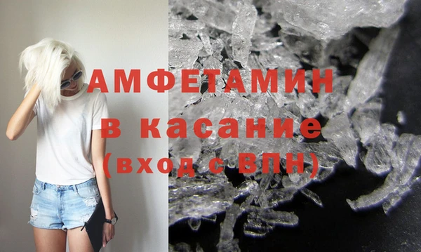 прущие грибы Каменка