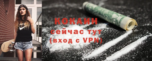 прущие грибы Каменка
