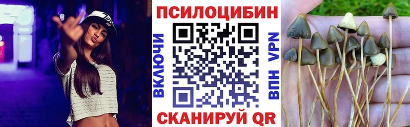 Псилоцибиновые грибы Magic Shrooms  Купить где  Болотное 